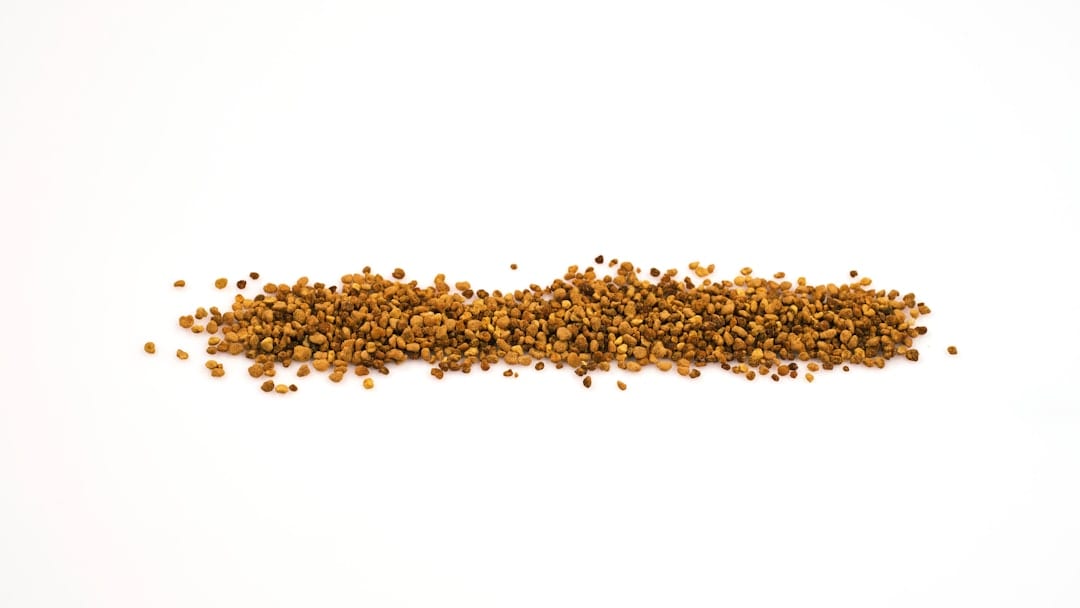 Premium salmon cat dry food