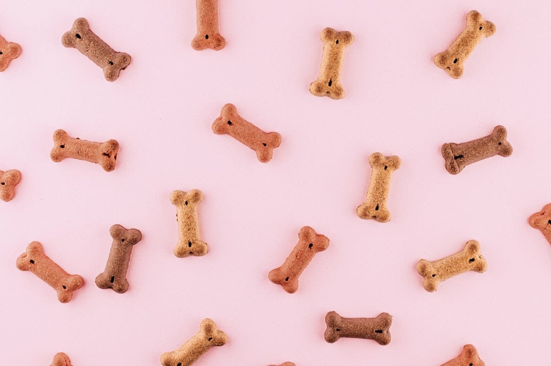 Natural peanut butter dog treats