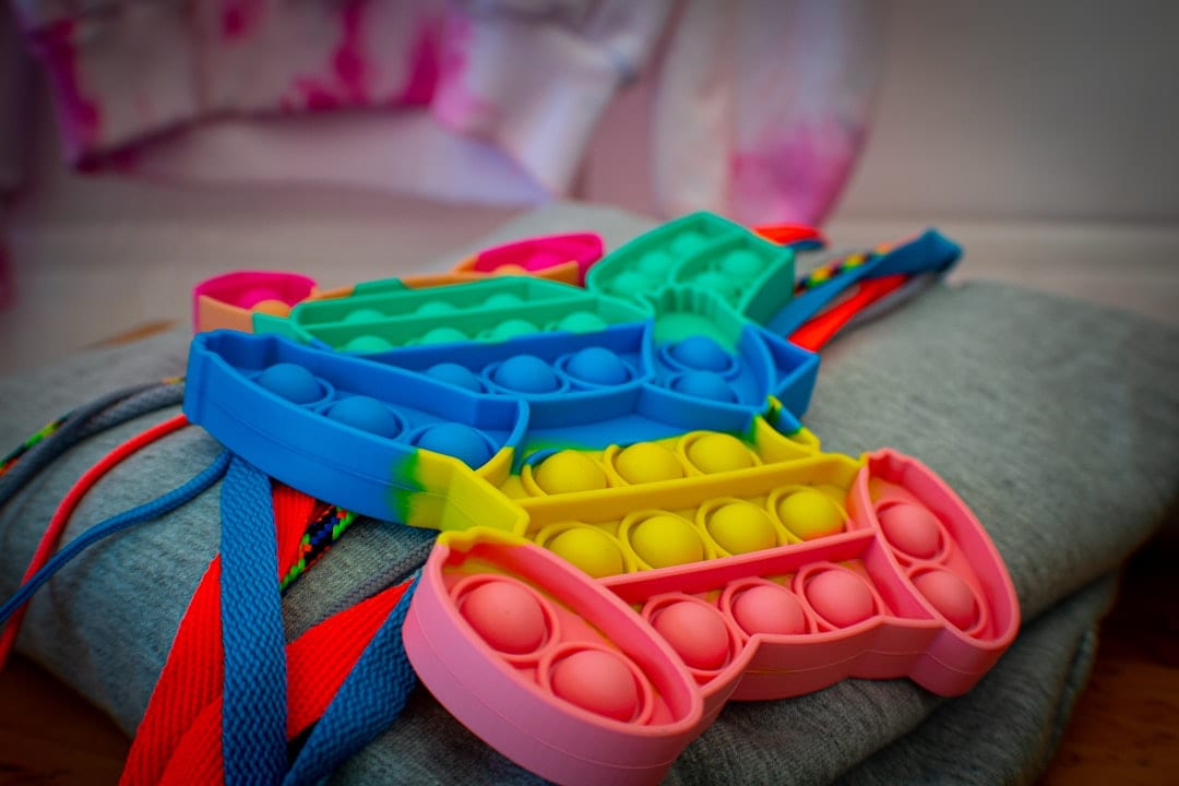 Pet accessories on plain background