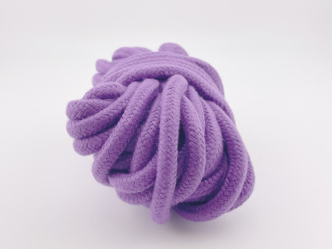 Pet toy on plain background